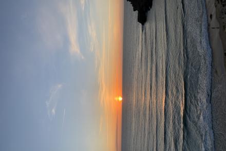 Disfruta de un entorno único 